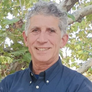 Stefano Predieri
