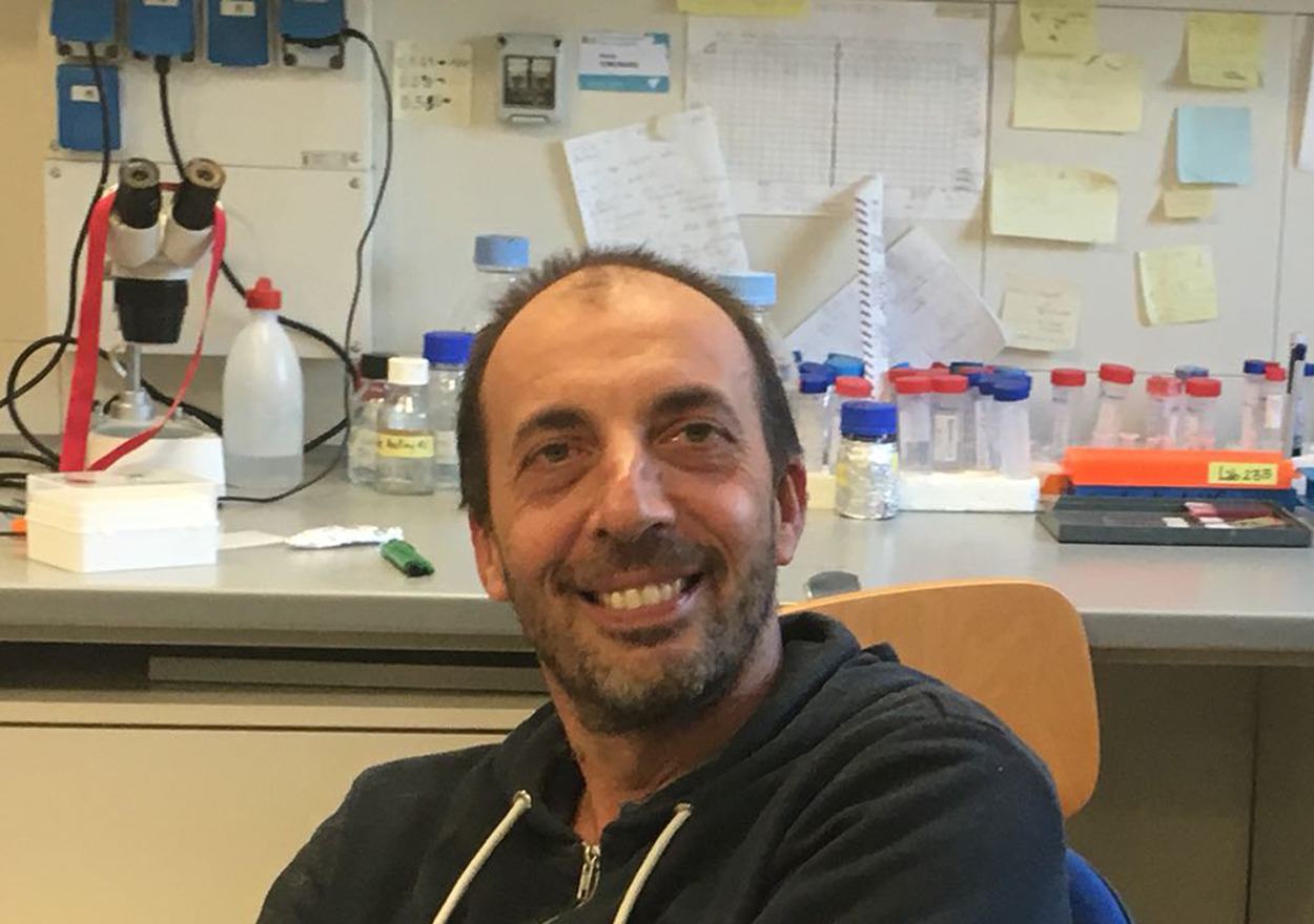 Stefano Farioli Vecchioli Stefano Farioli Vecchioli