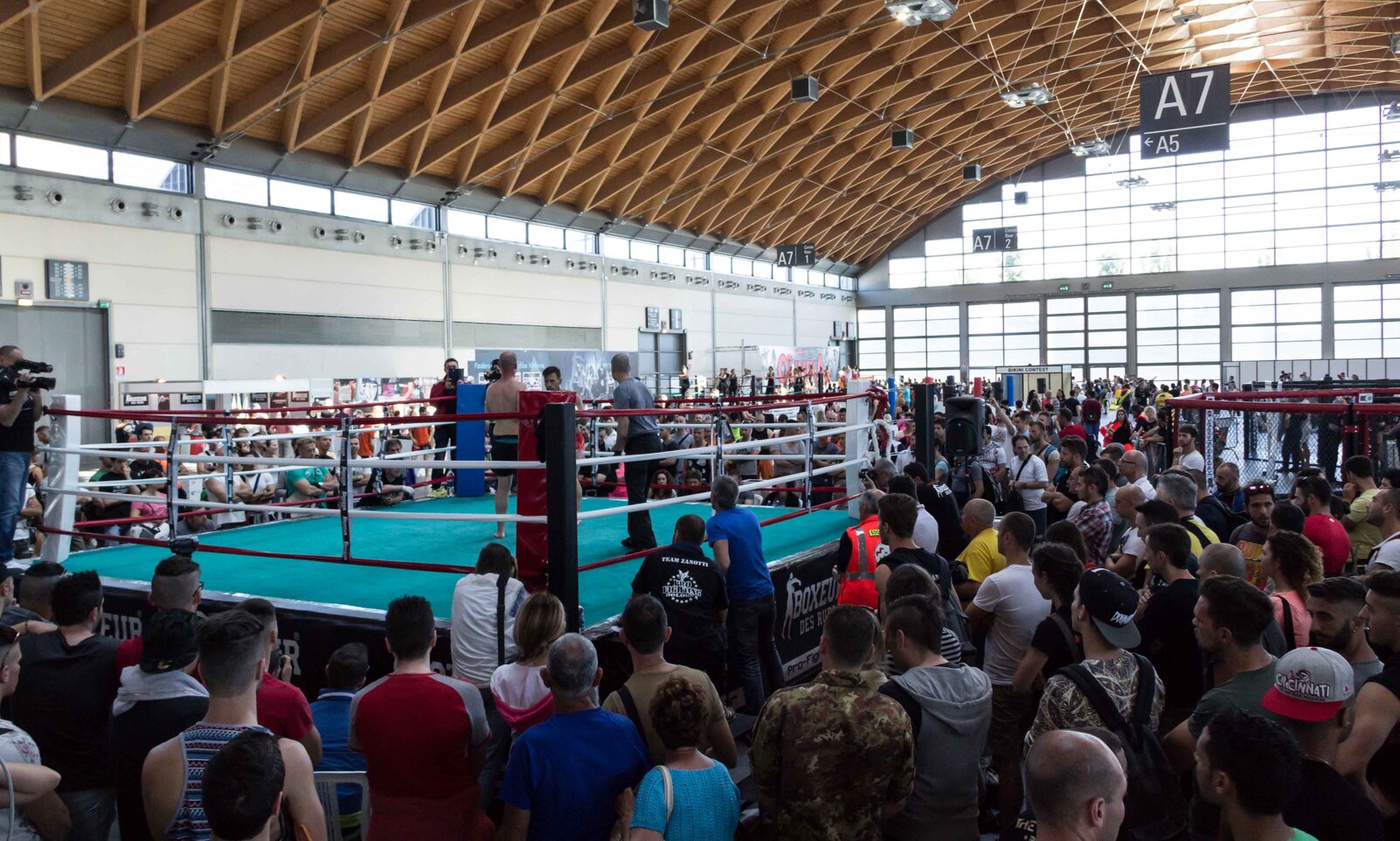 Kombat Arena