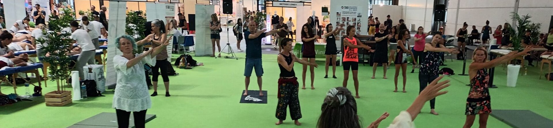 Wellness Oasis