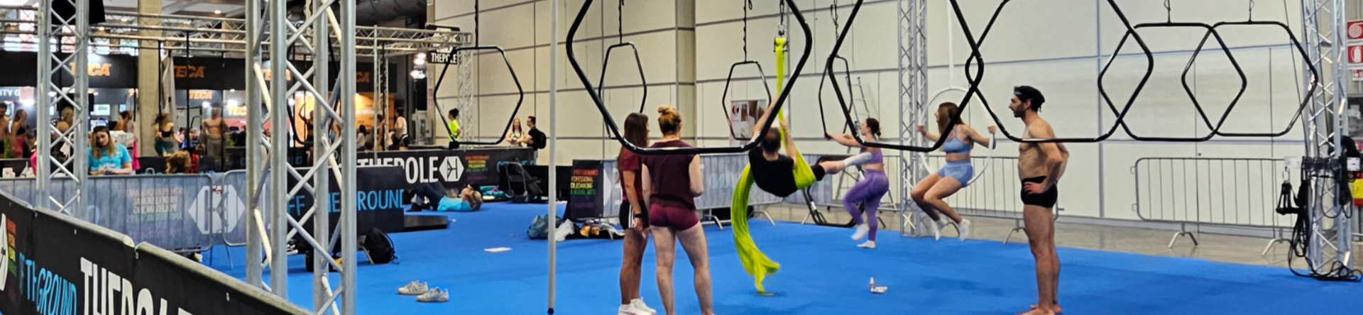 THEPOLE - pole dancing and aerial arts