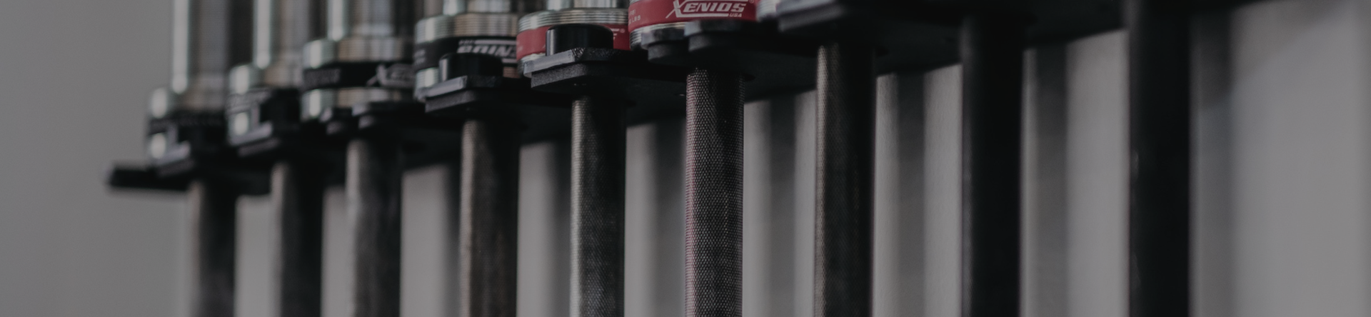 Bilancieri: gli attrezzi che non passano mai di moda