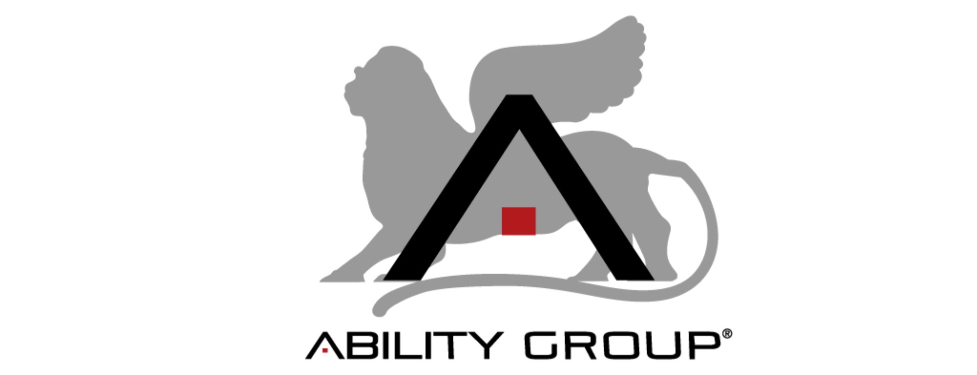 ABILITY GROUP S.r.l. ABILITY GROUP S.r.l.