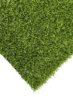ECOGRASS