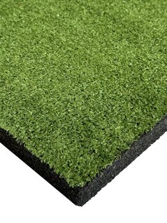 ECOGRASS