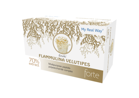 Flammulina Velupites Enoki