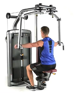 Insignia Series Pectoral Fly/Rear Deltoid