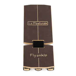 Flyankle